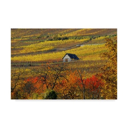 Trademark Fine Art Philippe Sainte-Laudy 'The House Of Vines' Canvas Art, 16x24 ALI44237-C1624GG